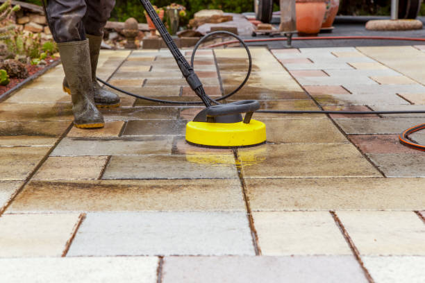 Best Animal Enclosure Cleaning  in Pineville, KY